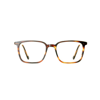 Tree Spectacles Bruno